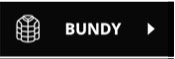 Bundy