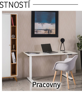 Pracovny