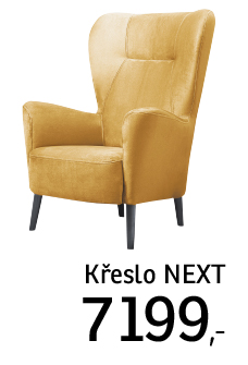 Křeslo Next