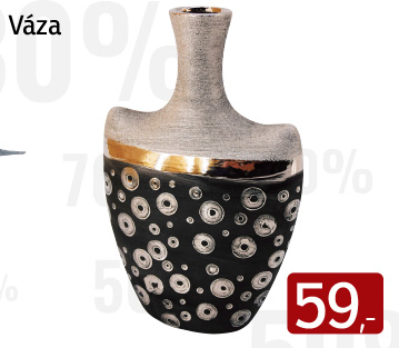 Váza