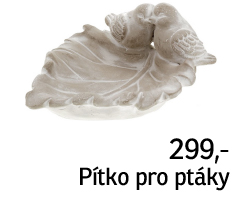 Pítko pro ptáky