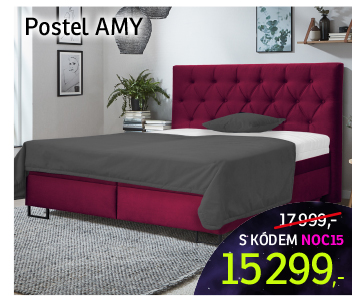 Postel Amy